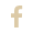 icon-facebook